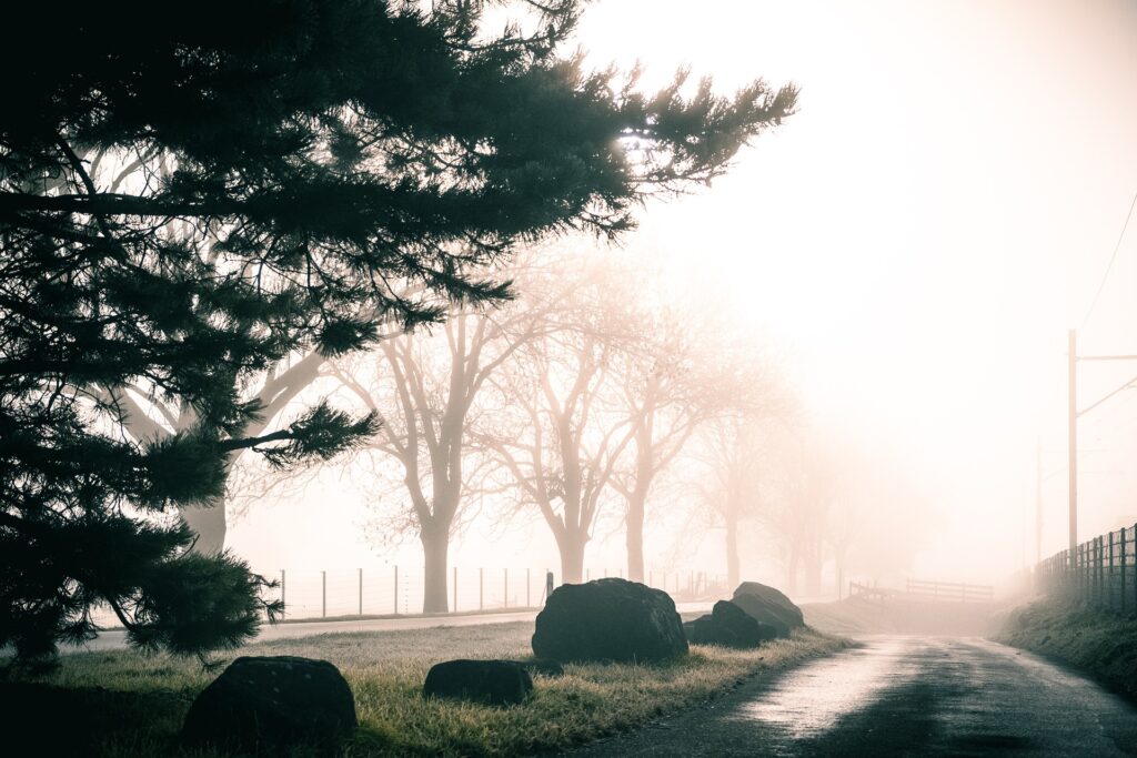 Tú eres el único responsable de tu camino.